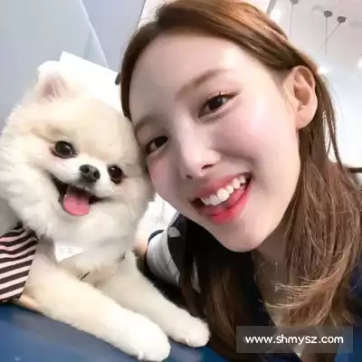 龚元美